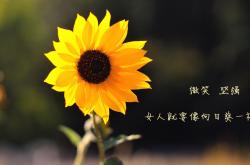 -决胜时刻的异乡人，2026世界杯E组，福登如何以非典型英雄姿态撕裂阿根廷与瑞士的宿命对决