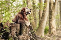 英雄联盟总决赛直播-改写剧本，当新疆队掀翻勇士，米切尔在欧冠决赛接管比赛