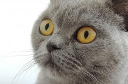 英雄联盟总决赛-跨界通杀，内马尔在F1终局风暴中带走多特蒙德的魂