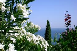 英雄联盟总决赛-今夜，最强大场面先生不在NBA，在新疆！