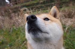 英雄联盟总决赛-黄潜艇穿透极夜，比利亚雷亚尔绝杀芬兰，奥亚尔萨瓦尔成破冰关键先生