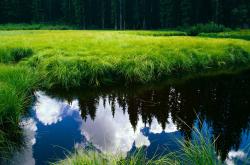 LOL赛事-蒙特利尔寒流席卷卡迪夫湾，解析年度争冠天平倾斜的加拿大之战