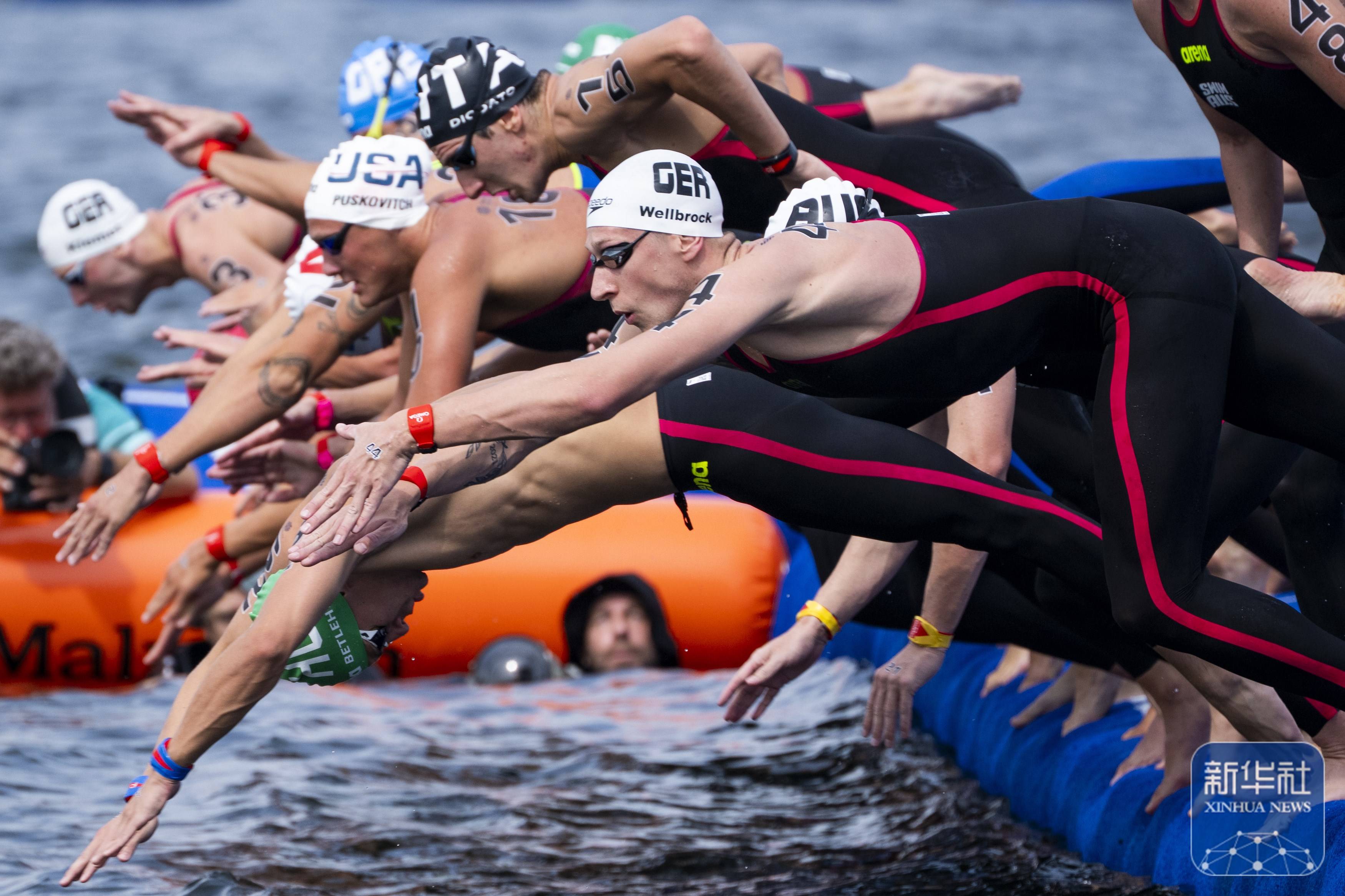 游泳赔率刷新纪录，竞猜热度飙升的简单介绍