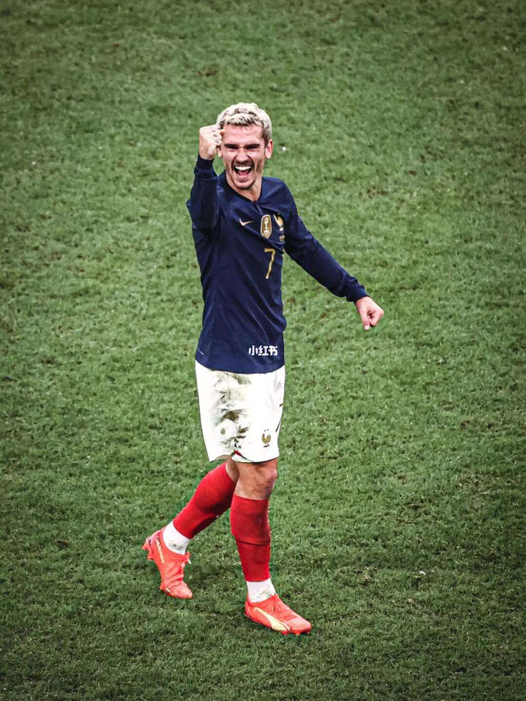 英格兰队力克法国队,奥恰洛夫高光表现的简单介绍 英格兰队力克法国队,奥恰洛夫高光表现的简单介绍