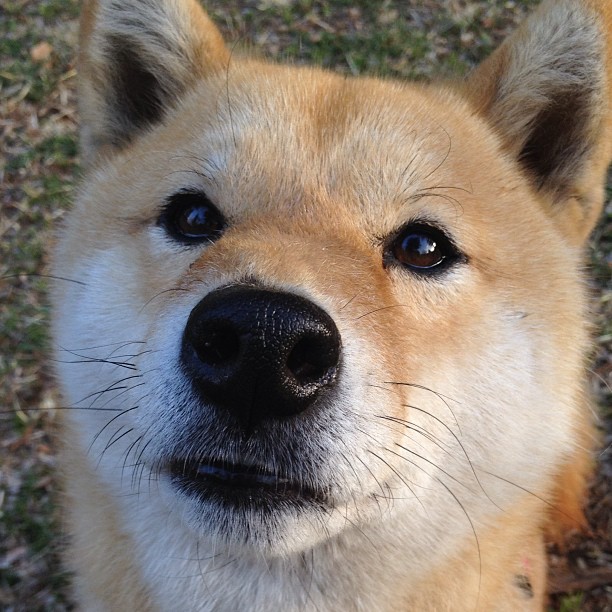 利剑与坚盾，状态火热的伊萨克能否刺穿哥斯达黎加的防线？