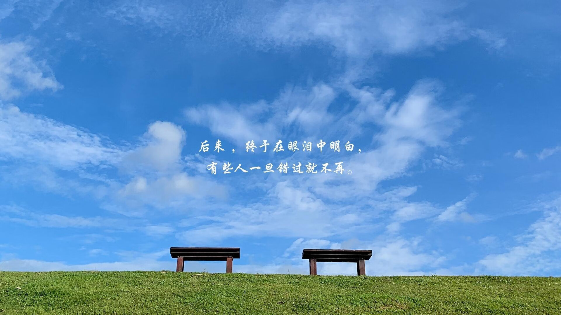 跨越时空的胜利号角，从绿茵场到硬木地板的领袖时刻—爱尔兰闪电战与罗德里格的终极接管