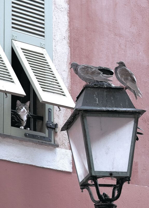 两个法老，一场战争，萨拉赫的沙漠征途与莫德里奇的伦敦王座