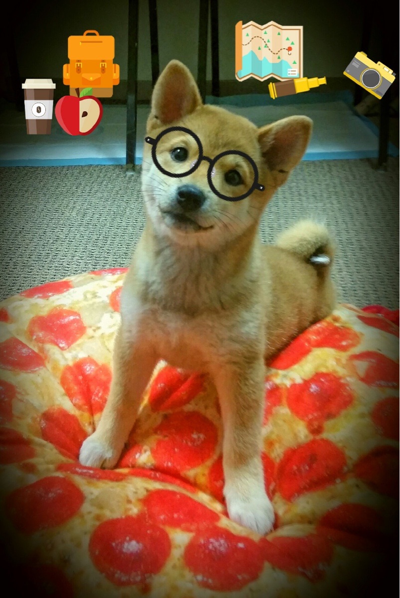 绿茵双城记,奥斯梅恩与葡萄牙人的淘汰赛咏叹调