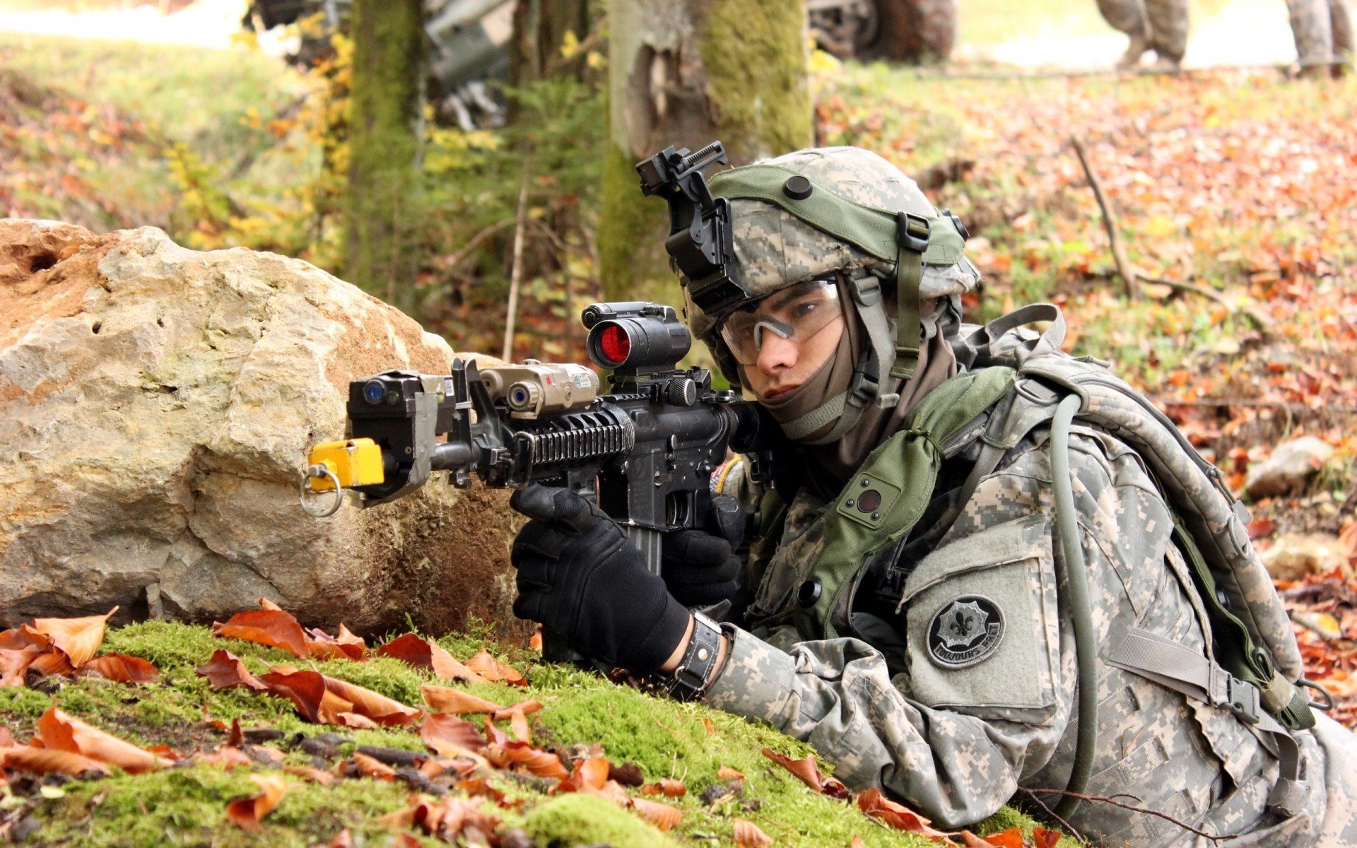 体育狂想曲,辽宁速胜绿军,恩比德驾驭F1争冠战