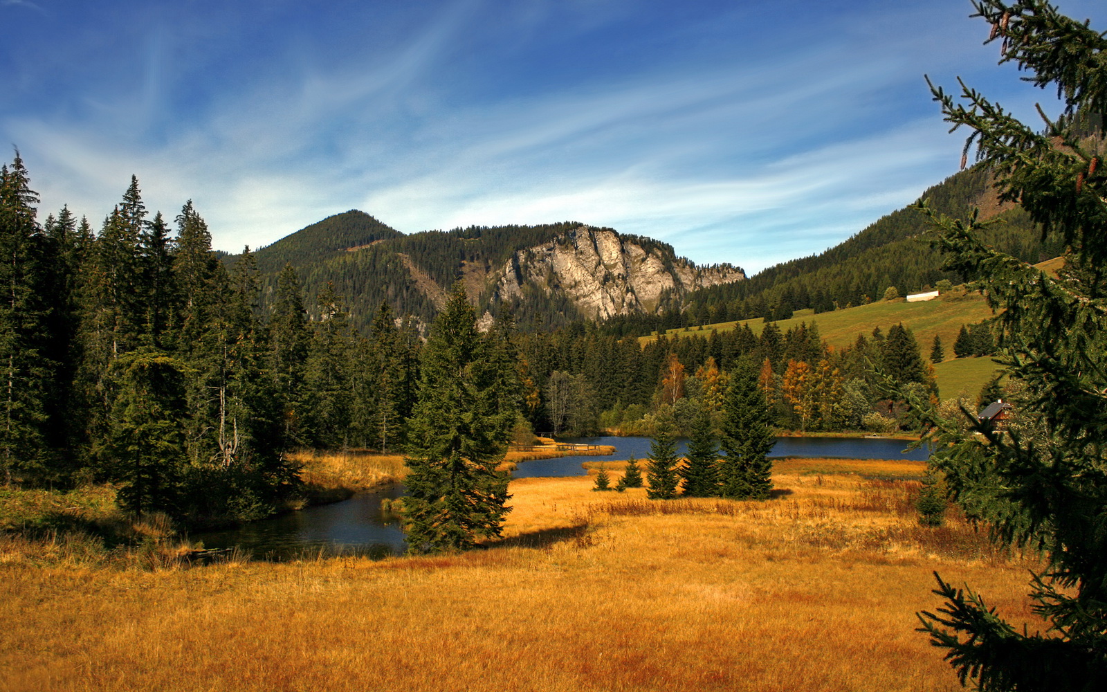 波斯铁骑的终极封锁，里昂的伊萨克难题与伊朗战术的无解之谜