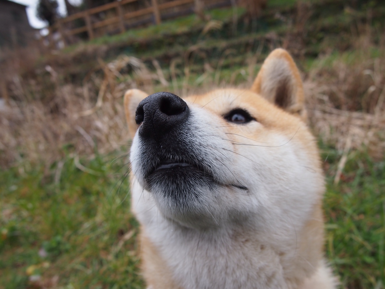 黄潜艇穿透极夜,比利亚雷亚尔绝杀芬兰,奥亚尔萨瓦尔成破冰关键先生