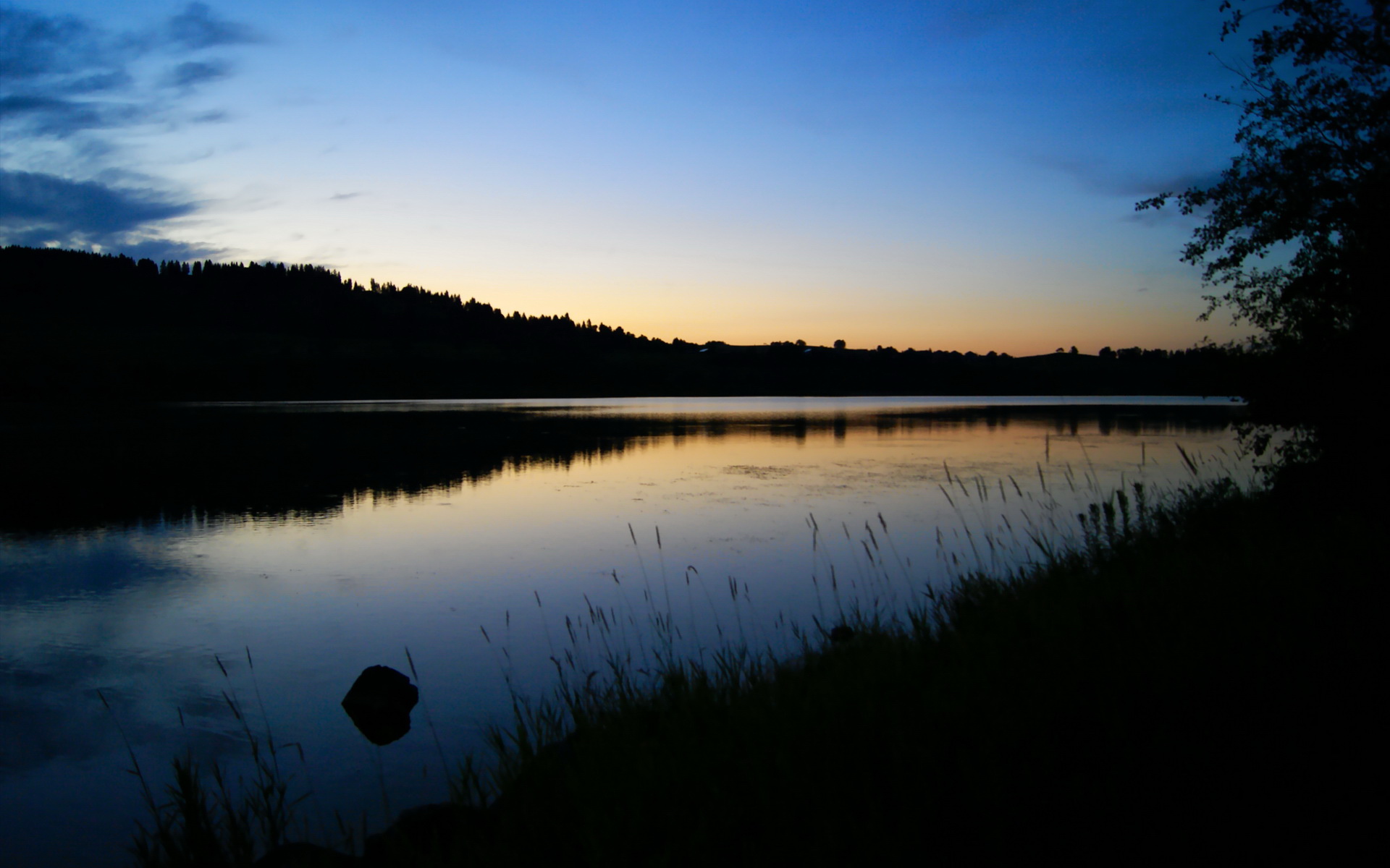 神谕之战，当马里传说在阿姆斯特丹上空回响