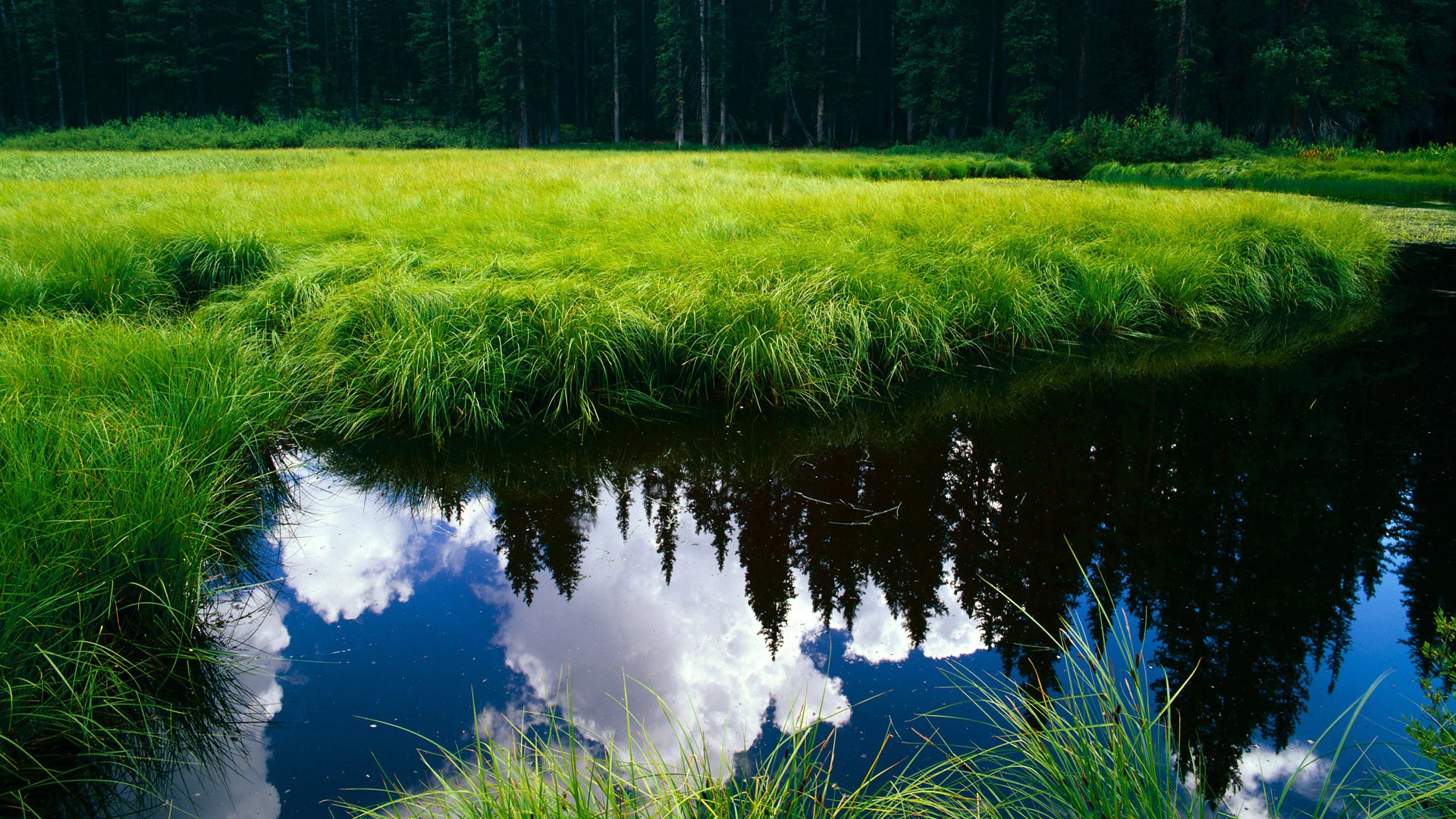 蒙特利尔寒流席卷卡迪夫湾，解析年度争冠天平倾斜的加拿大之战