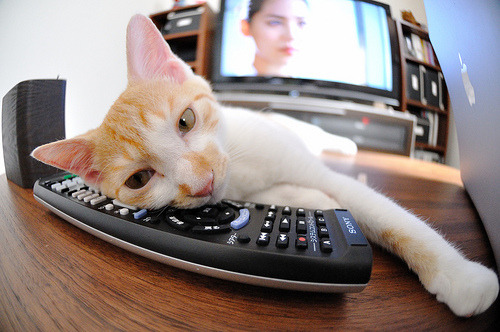 新王与铁幕，当拉梅洛的魔法刺穿凯尔特人的叹息之墙