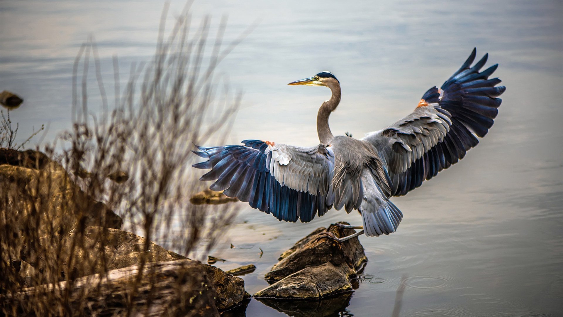 命运轮盘与防守绞肉机，雷霆青春风暴的远征