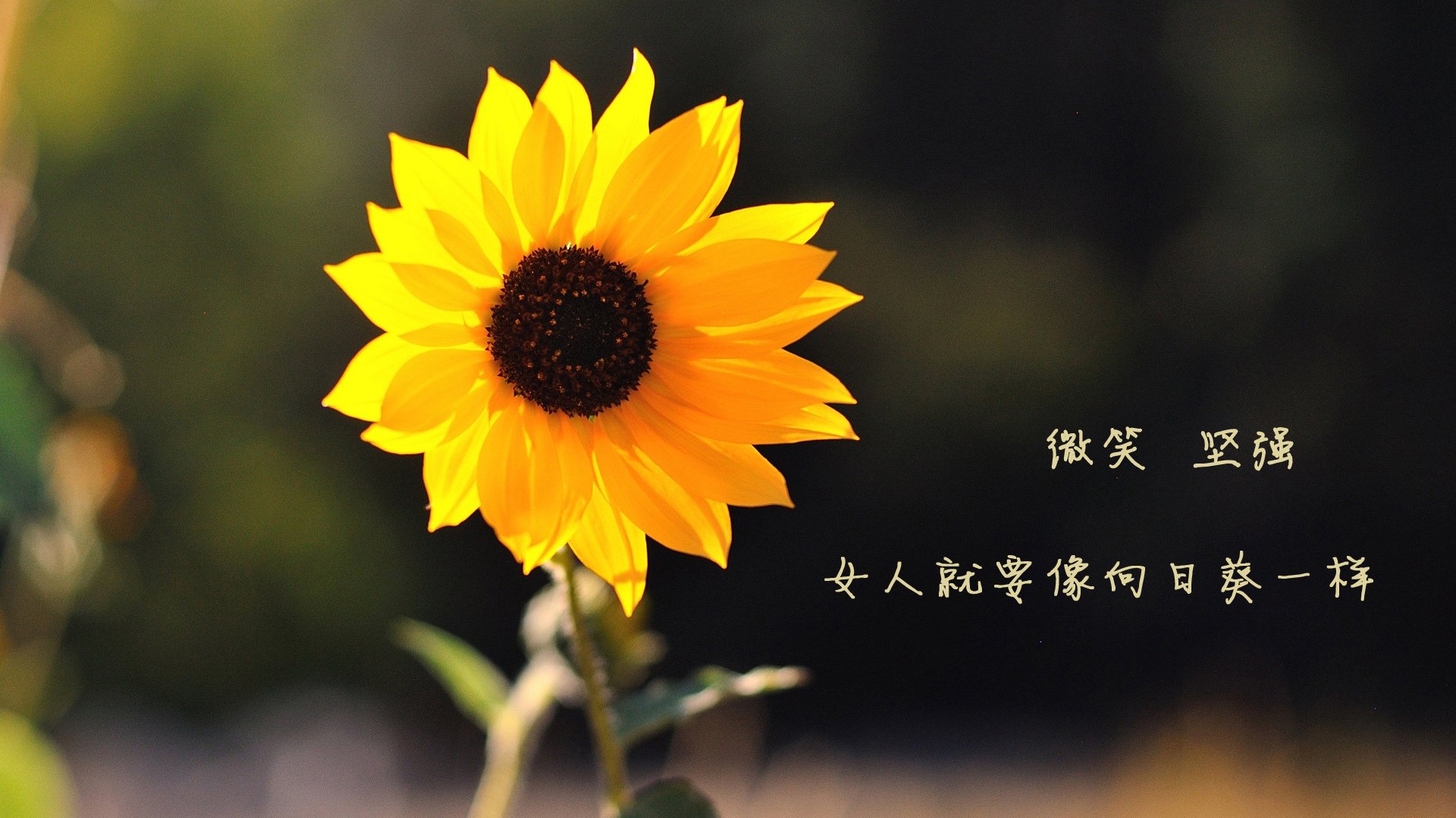 胜负悬一线，当马赛的闪电击穿伯纳乌，映射东决决胜时刻的胜负哲学