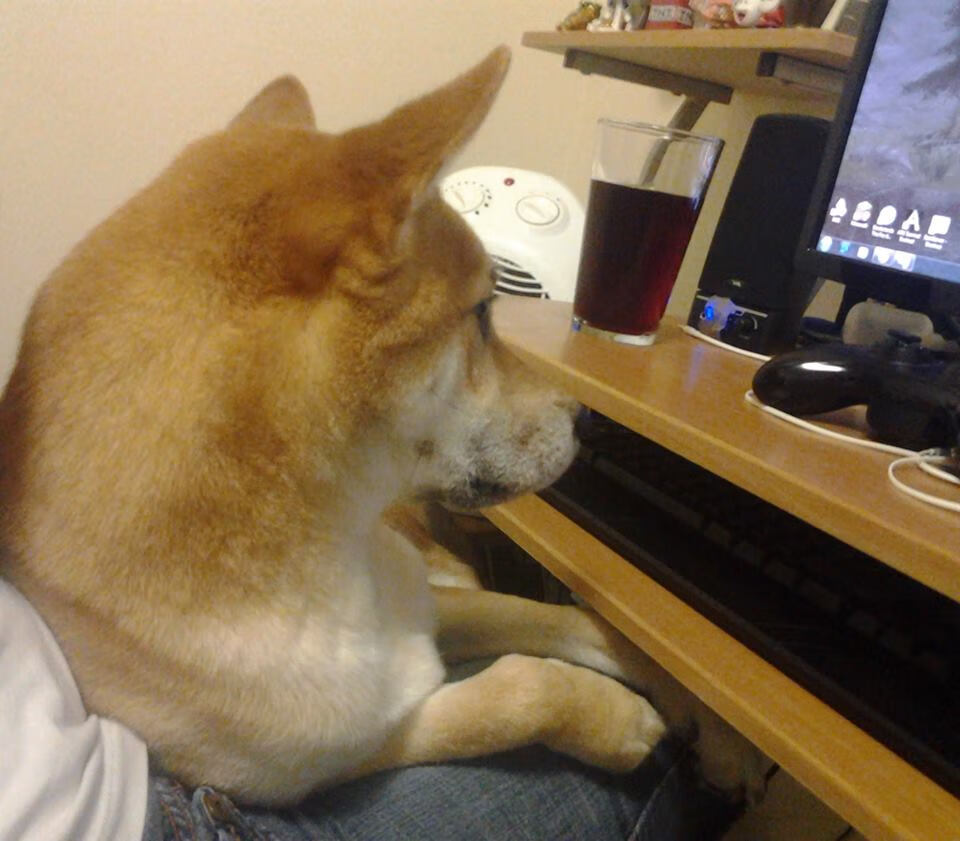 当篮球明星闯入F1，西亚卡姆的决胜弯道