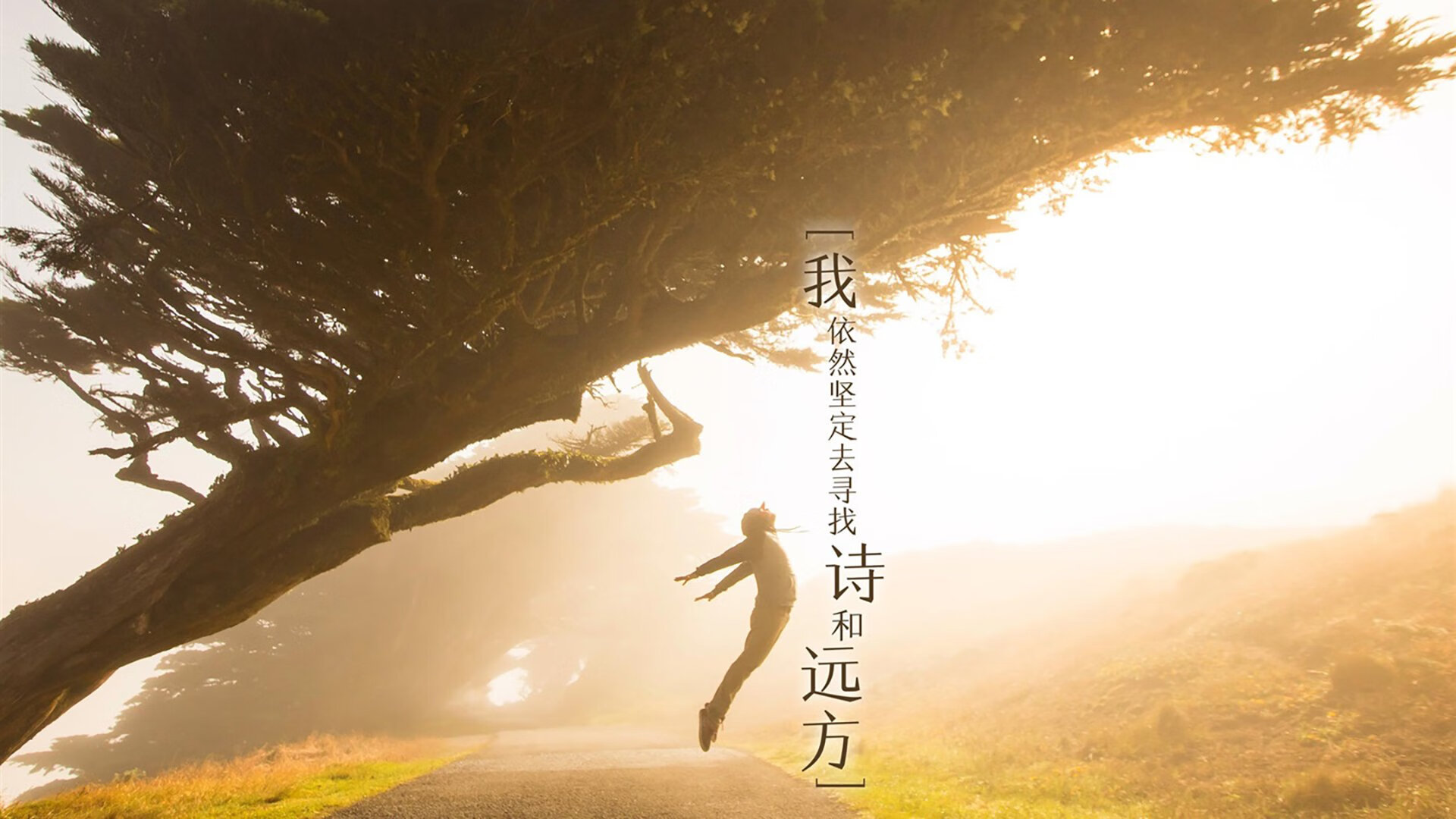 雷恩斩曼城,小人物戈麦斯,如何在终场哨响前改写了欧冠剧本?