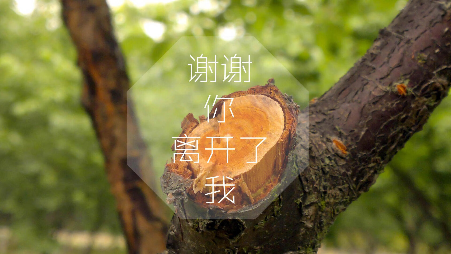 钢盾玄铁，火箭窒息防守令深圳哑火，霍勒迪化身孤胆英雄一剑封喉