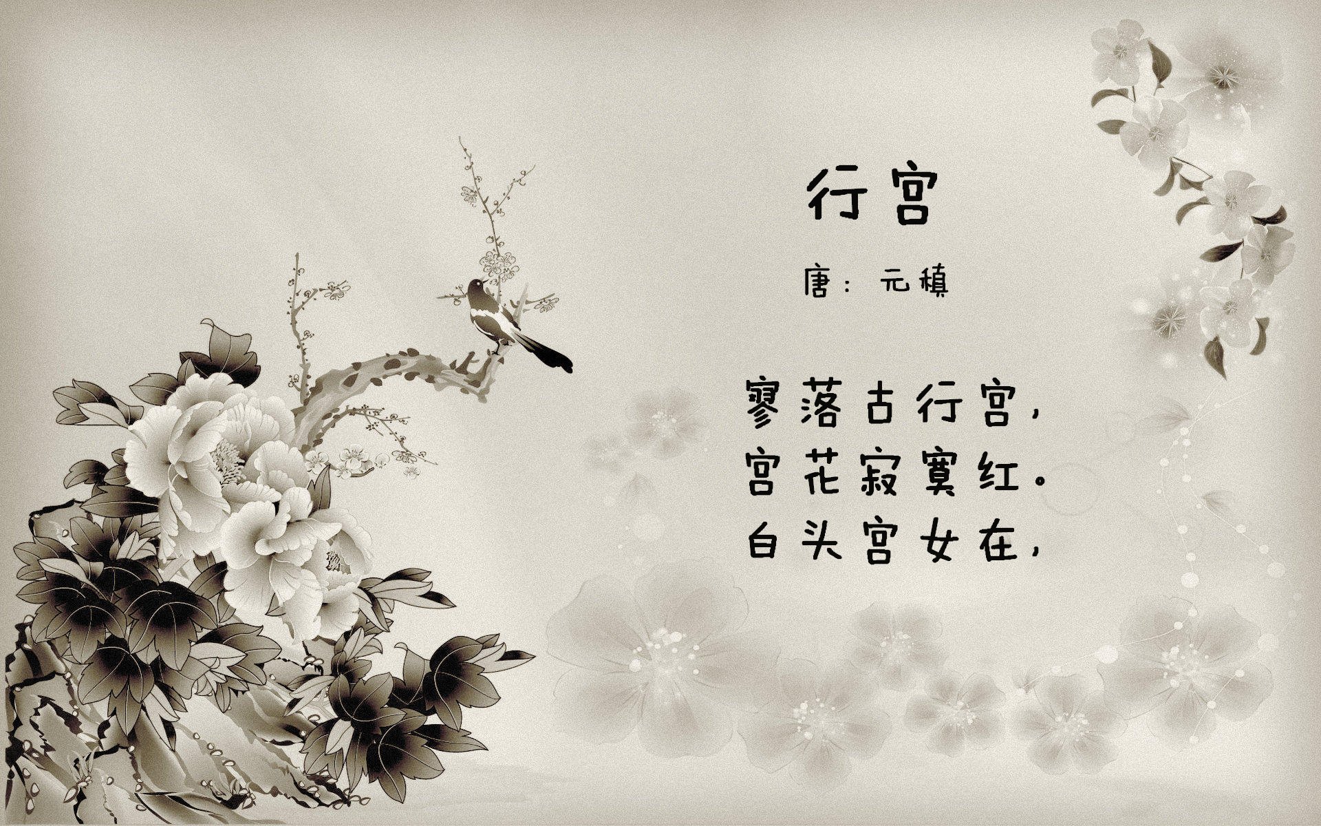 孤星耀夜，马克西单节烈火，焚尽老鹰亚特兰大之翼