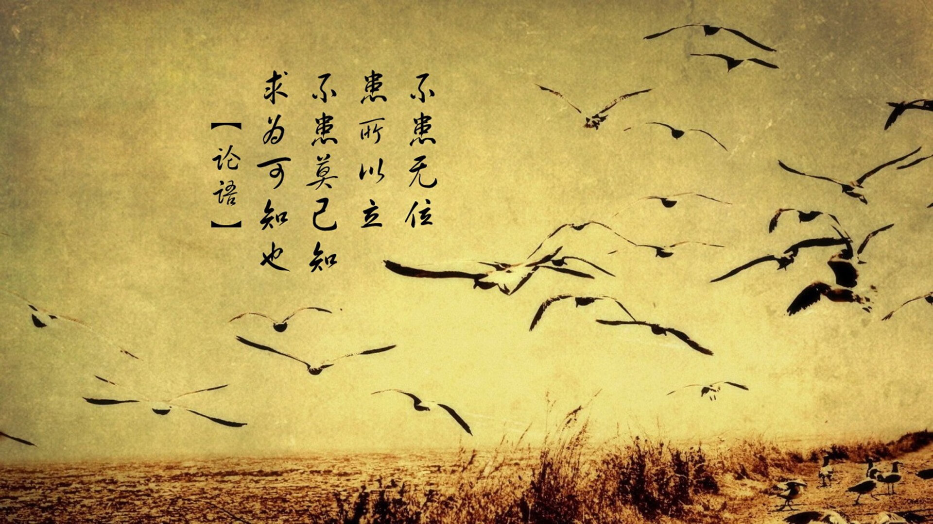 奥利维耶的独奏曲与红黑军团的安魂颂，一场属于AC米兰的，唯一的命运交响