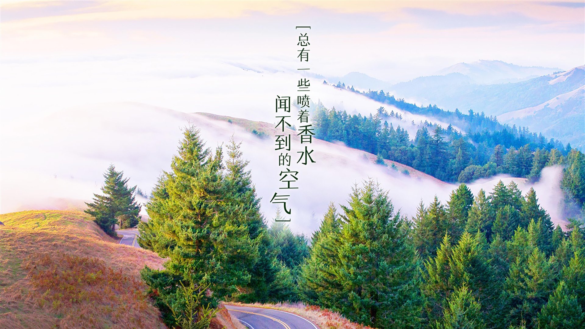 佩德里的节奏魔法，厄瓜多尔如何以唯一性击穿尼日利亚的铁血防线