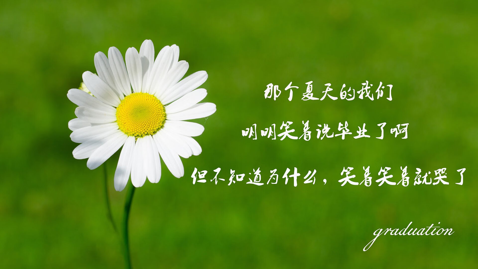 沙漠之鹰绝杀东瀛武士,2026世界杯B组暗夜惊雷,坎塞洛一球封神