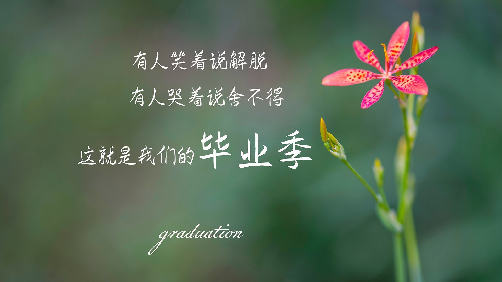 沙漠绿洲的奇迹夜，费利克斯导演压制，越南补时绝杀卡塔尔，A组暗藏冠军相