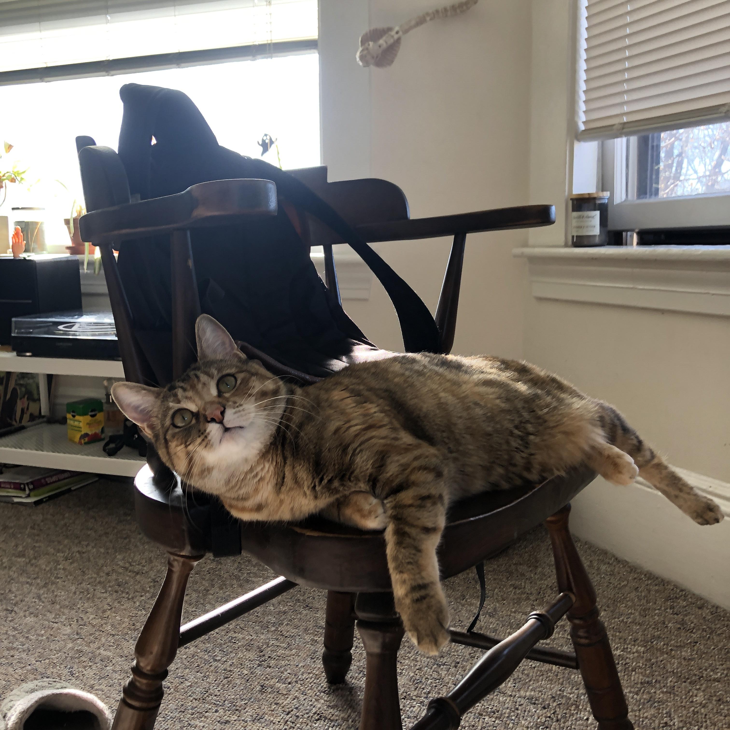 底格里斯河上的闪电，当苏亚雷斯用唯一性撕裂2026世界杯D组的沉默
